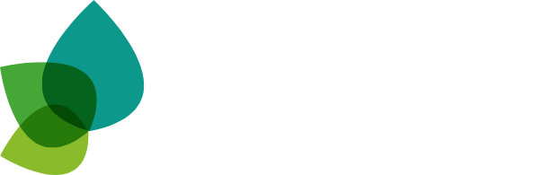 Mulberry College of Teaching